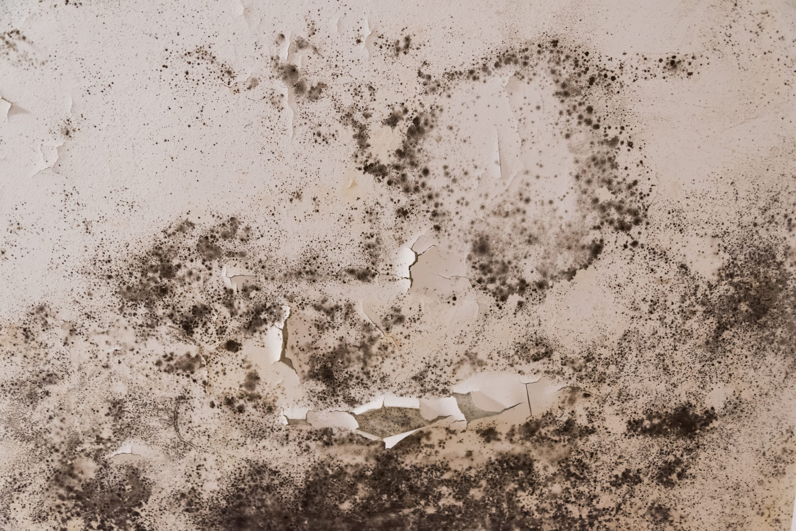 dreamstime_l_180566101